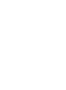 Success-Stories-Icon